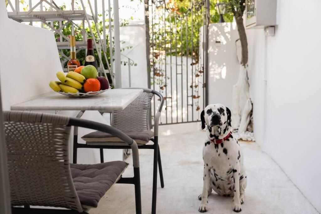 Villa Artemis Cycladic Charmed ! アテネ エクステリア 写真